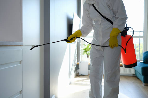 Best Commercial Mold Remediation in Santa Rita Ranch, TX